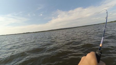 post-70145-0-91633000-1472056737_thumb.jpg