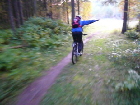post-29552-1252516166_thumb.jpg