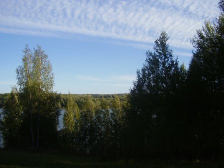 post-18254-1283667433_thumb.jpg