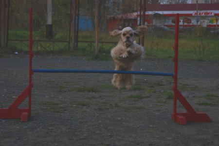 post-53091-0-48165700-1348746921_thumb.jpg
