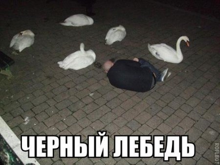 post-59499-0-08138600-1411098751_thumb.jpg