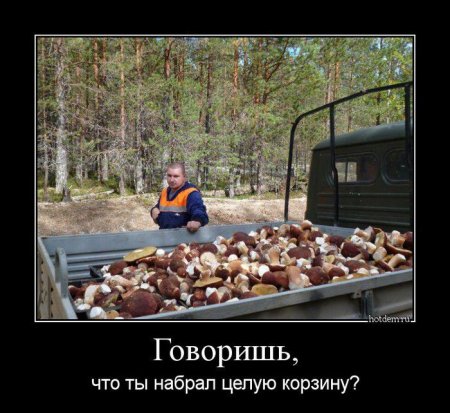 post-6541-0-58649700-1410364546_thumb.jpg