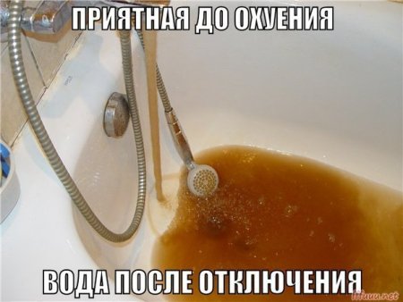 post-53091-0-20897700-1351588684_thumb.jpg