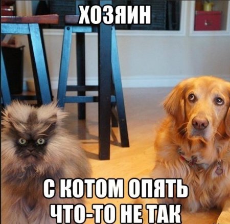 post-63866-0-26474600-1382784178_thumb.jpg