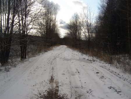 post-26486-1257103382_thumb.jpg