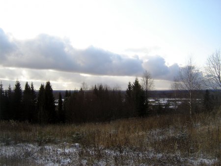 post-26486-1257103456_thumb.jpg