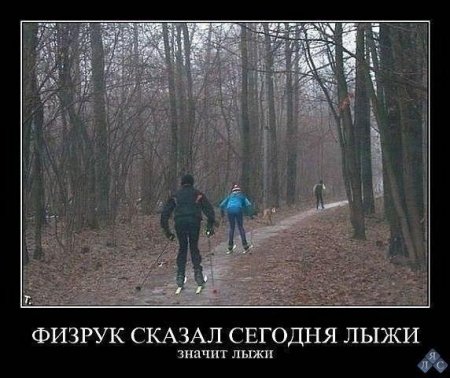 post-52257-0-89693600-1383495635_thumb.jpg