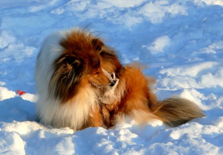 post-26955-0-09648500-1323617875_thumb.jpg