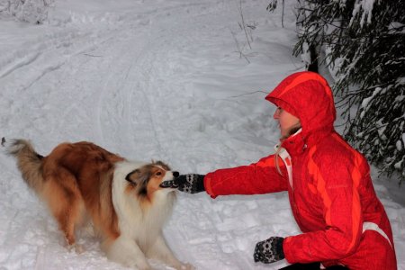 post-26955-0-34640700-1324116403_thumb.jpg