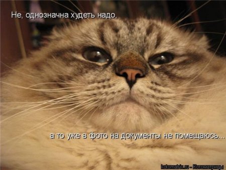 post-29417-0-32803000-1325226554_thumb.jpg