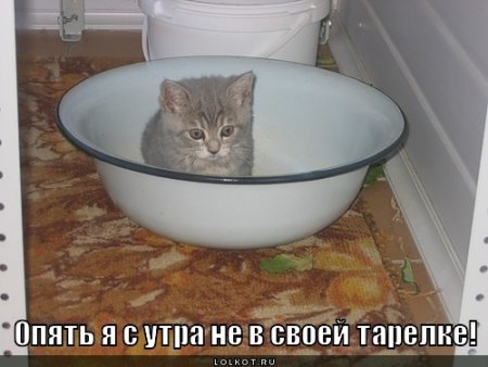 post-29417-0-76283900-1324533770_thumb.jpg