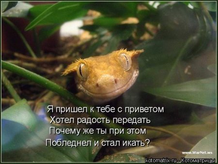 post-29417-0-76419300-1325068368_thumb.jpg