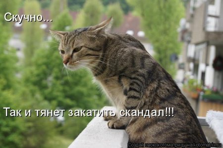 post-29417-0-93199300-1325003426_thumb.jpg