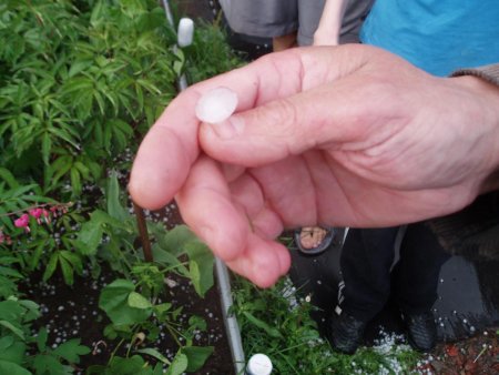 post-28306-0-61571700-1354556670_thumb.jpg
