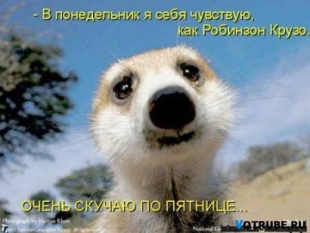 post-29417-0-17767500-1356321772_thumb.jpg