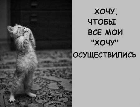 post-59593-0-71016200-1386266905_thumb.jpg