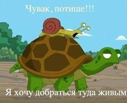 post-61669-0-41974200-1387441082_thumb.jpg