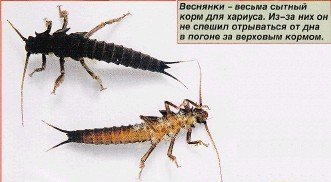 post-59452-0-54536700-1418130051_thumb.jpg