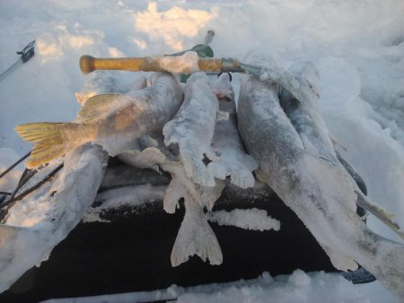 post-50593-0-05467700-1481462774_thumb.jpg