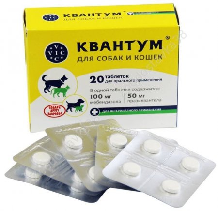 квантум.jpg