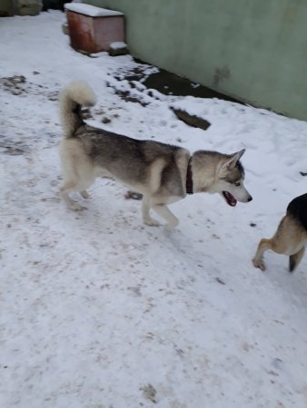 20181126_143521[1].jpg