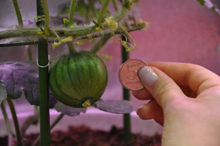 s9BvZsbkYbw.jpg