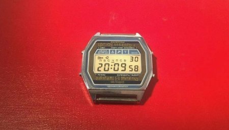 12554651.jpg