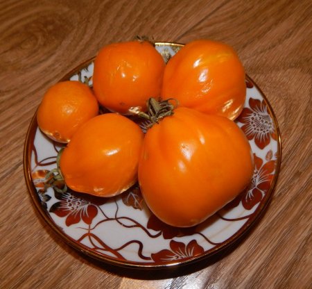 DSCN4570.JPG