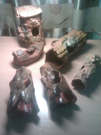 IMAG0042.jpg