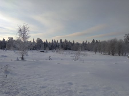 IMG_20190107_124734.jpg