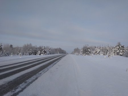 IMG_20190107_124800.jpg