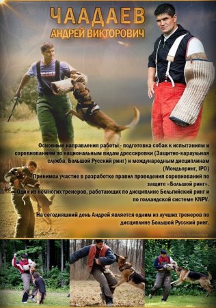 q98ZUqYCaLI.jpg