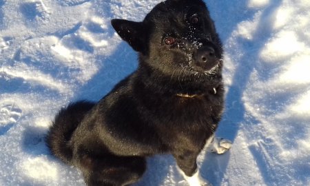 20181123_112925.jpg