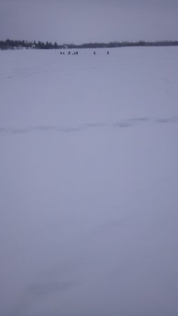 DSC_0385.JPG
