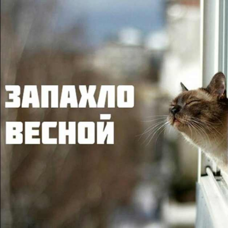 image.thumb.png.29baf53652ac42ed813486d12aea0769.png