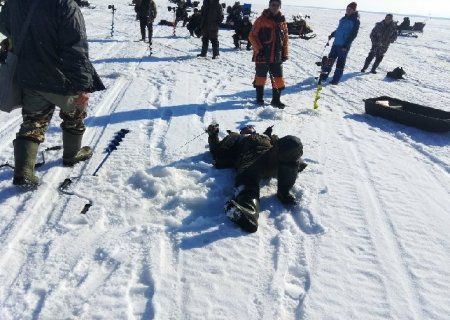 попопо.jpg