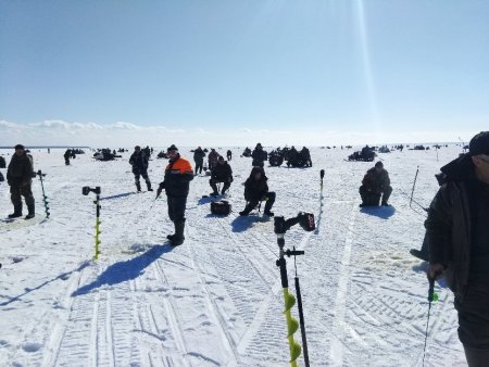 попопопоррнн.jpg