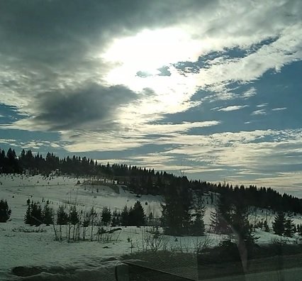 2210603_.jpg.f0eb543c0f97f132632f18dd0b563da3.jpg