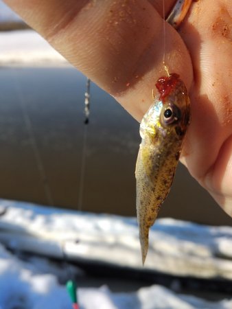 IMG_20190409_160843.jpg