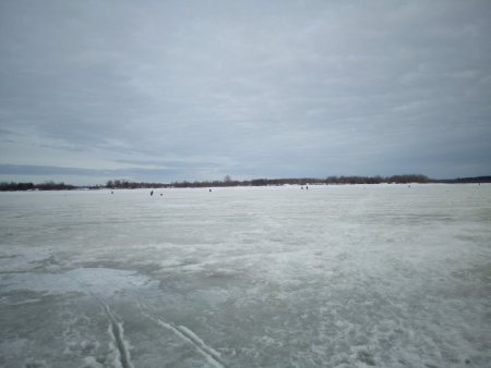 IMG_20190421_083440.thumb.jpg.5f68f497650782a03fe1ec1459c10cfc.jpg