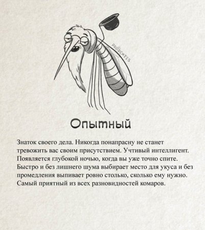 комар 2.jpg
