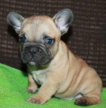 Мальчик № 3.jpg