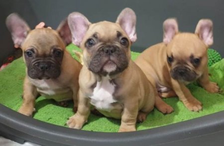 Все вместе 1 мес. 3 нед..jpg