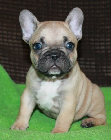 Мальчик № 1.jpg