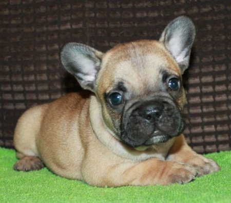 Мальчик № 2.jpg