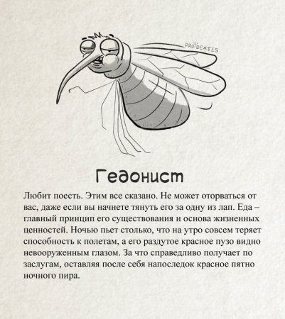 комар 3.jpg