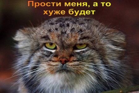 image.thumb.png.df1a1ab9e328f2a67870f0f9237257d2.png