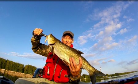 IMG_20190822_224330[1].JPG