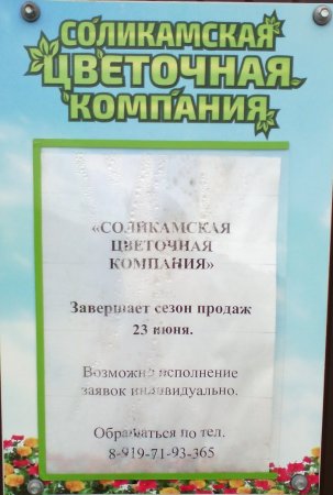 625319369_.thumb.jpg.7c82816b49c7ed9b3606b8d827bea974.jpg