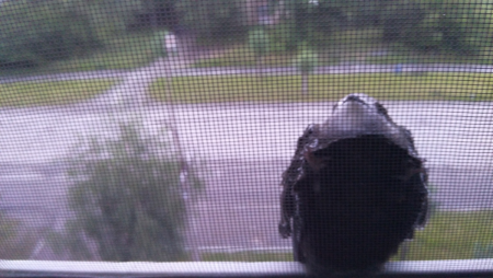 image.thumb.png.bc2a56208f333c0026aa0920d2e4a0ec.png